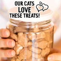 a person holding a jar full of cat treats with the caption, our cats love these treats