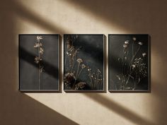 three framed photographs hanging on a wall next to a vase with flowers in it and the shadow of a window