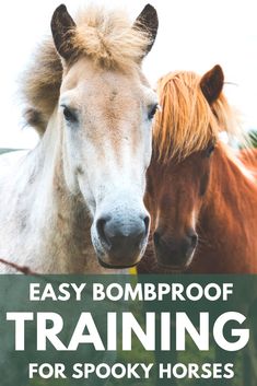 two horses standing next to each other with the words easy bombproof training for spooky horses