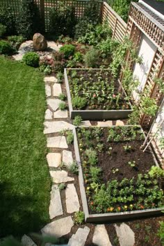 an outdoor garden area with various plants and rocks on the ground, along side a house