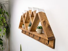 a wooden shelf that has some plants on it