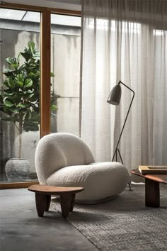 a living room filled with furniture and a plant in front of a large glass window