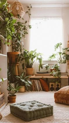 a living room filled with lots of plants and furniture