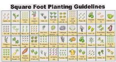 a square foot planting guide with pictures of plants and vegetables on it's sides