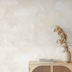 a white vase sitting on top of a wooden cabinet next to a wall with a plant in it