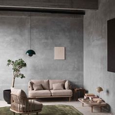 a living room filled with furniture and a potted plant