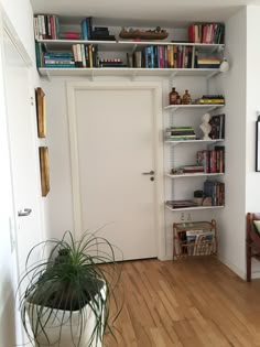 a room with a door, bookshelf and potted plant on the floor