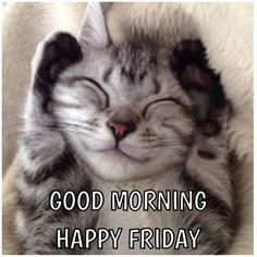 a cat that is laying down with its eyes closed and the caption saying good morning happy friday