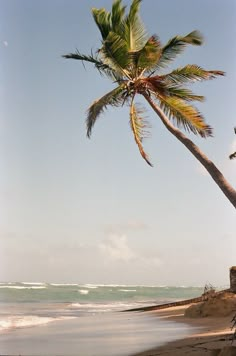 a palm tree leaning over on the beach with waves coming in from the ocean behind it