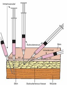 an app showing the different types of tools used to make construction work on a building