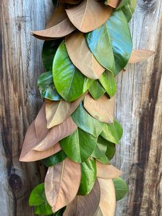 some green and brown leaves are hanging on a wooden wall