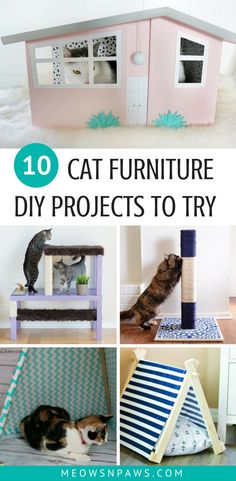 the top 10 cat furniture diy projects to try for your house or pet place