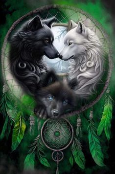 two black and white wolfs in front of a dream catcher with feathers on it