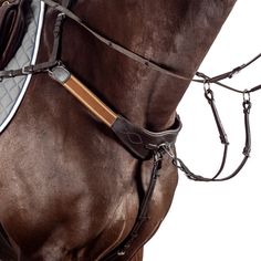 the bridle is attached to the back of a horse's head and neck