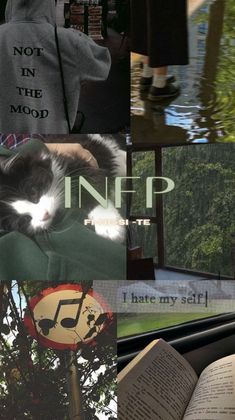 🅸🅽🅵🅿✿ Infp Aesthetic Poster, Infp Aesthetic Pictures, Infp Profile, Introvert Aesthetic Pictures