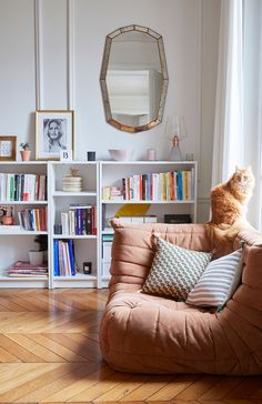 an orange cat sitting on the arm of a couch in front of a bookshelf