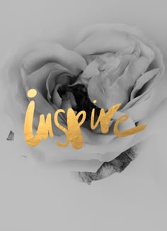 a white rose with the word inspire written in gold foil on it's center