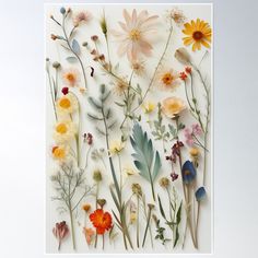 an assortment of wildflowers and other flowers on a white background poster