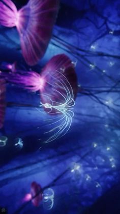 some pink and purple butterflies are flying in the night sky with light streaks on them