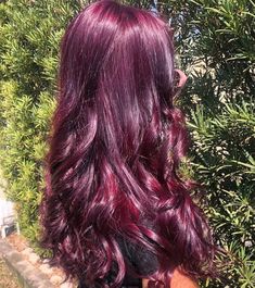 Cranberry Purple Hair, Maroon Hair Dye Ideas, Dark Red Hair With Purple Undertones, Cherry Coke Red Hair Color Burgundy Purple, Maroon Violet Hair, Plum And Blue Hair, Blackberry Red Hair, Red Ish Purple Hair, Cherry Red Purple Hair