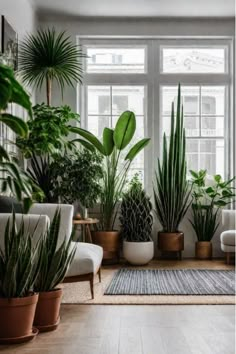 a living room filled with lots of potted plants next to a large window on top of a hard wood floor