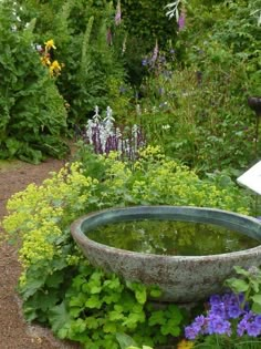 a garden with flowers, plants and a birdbath in it's center