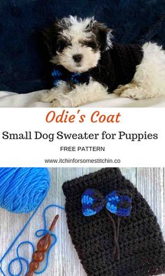 small dog sweater for puppies free crochet pattern and instructions on how to make it