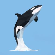 an orca jumping in the air with its mouth open and it's tail out