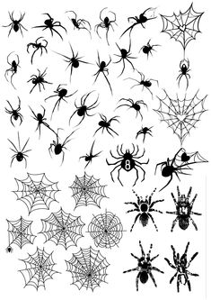 various spider web designs on white background