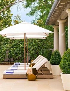 lounge chairs under an umbrella on a patio with potted plants and trees in the background