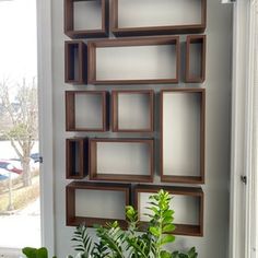 a potted plant sitting on top of a window sill next to a wooden shelf