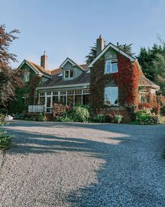 a large house with lots of windows and plants on the front yard, along with gravel driveway