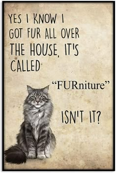 a cat sitting on top of a wooden floor next to a sign that says, yes i know i got fur all over the house it's called furniture isn't?