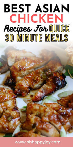 Get perfect asian chicken thigh recipes for summer grilling. These quick and easy asian chicken thigh marinades are perfect for grilling or to pop in an air fryer. For healthy weeknight dinner chicken recipes, we've included spicy sauce asian chicken marinade to sweet an salty asian chicken marinade. Enjoy delicious and healthy chicken meal or a bowl on a busy weeknight! Chicken Thigh Marinades, Asian Chicken Thigh Recipes, Asian Chicken Marinade, Asian Marinade For Chicken, Easy Asian Chicken, Asian Chicken Thighs, Asian Chicken Recipes, Chicken Marinade Recipes