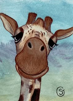 a drawing of a giraffe looking at the camera