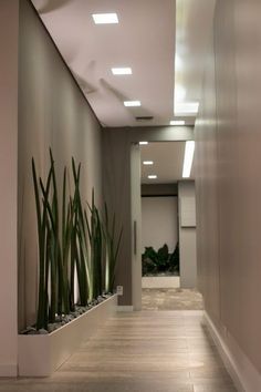 an empty hallway with plants and lights on the wall, along with wood flooring