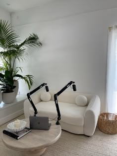 a living room with two white couches and a laptop on a table in front of a potted plant