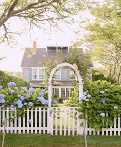 a white picket fence with blue hydrangeas around it