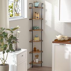 a bathroom with a potted plant in the corner and shelves on the wall next to it