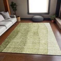 a living room with a couch, chair and rug in front of a window that has a potted plant on the floor