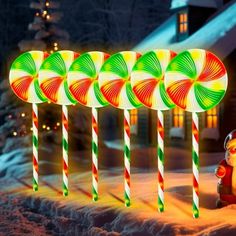 lighted candy canes in front of a house at christmas time with a teddy bear sitting next to them