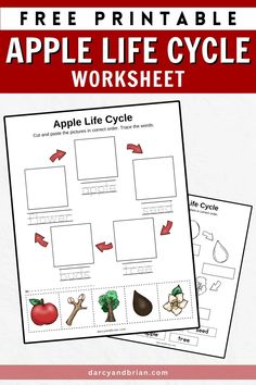 an apple life cycle worksheet with the text, free printable for kids