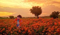 a woman standing in a field full of orange flowers at sunset with a tree and mountains in the background