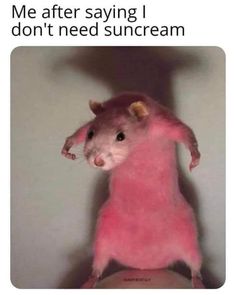 a pink rat sitting on top of a person's head with the caption me when i look in the mirror after my 900 degree shower