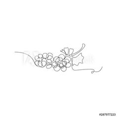 grapes on a branch with leaves and berries drawn in one line, isolated on a white background