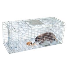 a small animal in a cage eating food