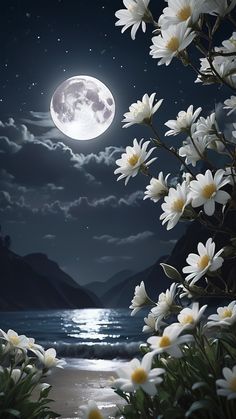 the full moon shines brightly in the night sky over water with white daisies