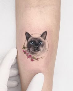 a cat with blue eyes and flowers on its leg is shown in front of a person's arm