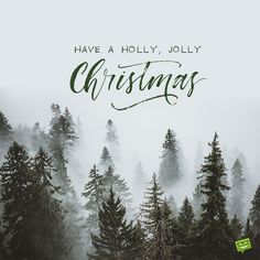 the words have a holly jolly christmas written in cursive font on top of pine trees