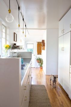 the kitchen is clean and ready for us to use in the day or night time